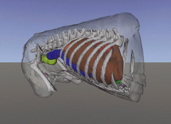 Figure 7.3